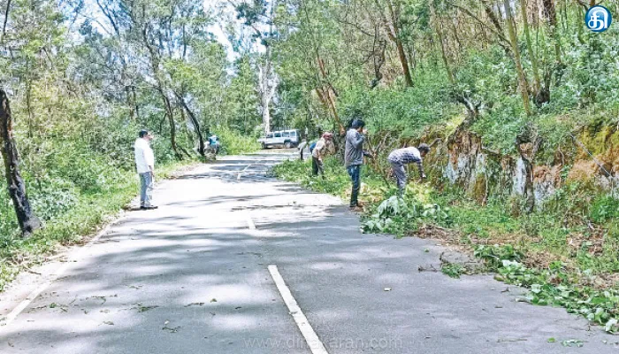 வடகிழக்கு பருவமழை நெருங்குகிறது தொட்டபெட்டா – இடுஹட்டி சாலை சீரமைப்பு பணி தீவிரம்