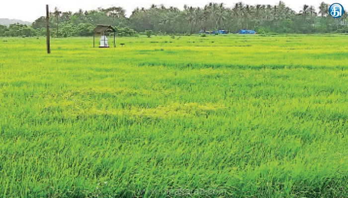 விவசாய நிலங்களைப் பாதுகாப்பது காலத்தின் கட்டாயம்!