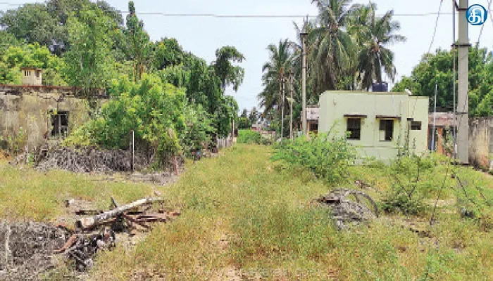 மண்டபம் கேம்ப் பகுதியில் முள்புதர்கள் மண்டிய மின்வாரிய அலுவலகம்