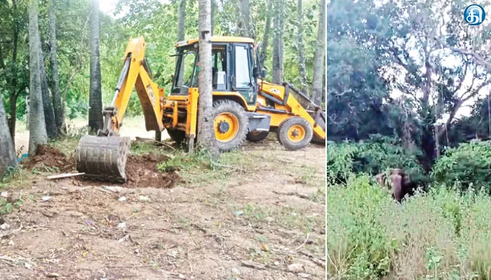 ஸ்ரீவில்லிபுத்தூர் அருகே வனப்பகுதியில் இருந்து வந்து மம்சாபுரத்தில் மாறி, மாறி முகாமிடும் ஒற்றை யானை: 25 நாட்களாக காட்டுது கண்ணாமூச்சி