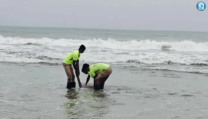 எண்ணூர் கடற்கரையில் நண்பர்களுடன் குளித்துக் கொண்டிருந்த கல்லூரி மாணவர் ராட்சத அலையில் சிக்கி உயிரிழப்பு..!!