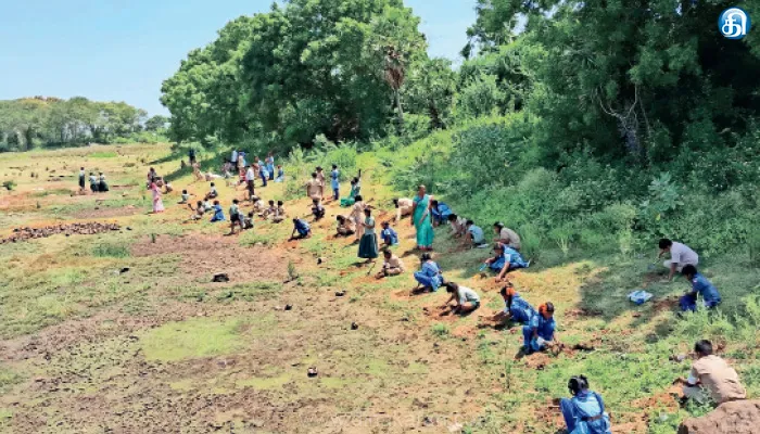 சேத்துப்பட்டு அருகே கோழிப்புலியூர் ஊராட்சியில் உலக ஓசோன் தினத்தையொட்டி 1,000 பனை விதைகள் நடும் பணி