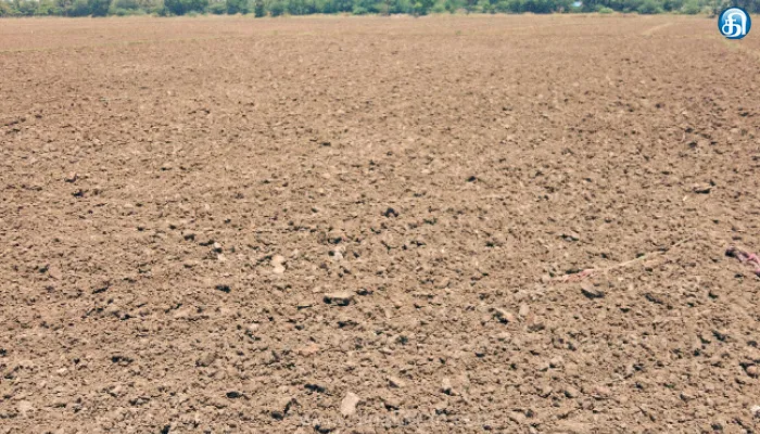 மயிலாடுதுறை மாவட்டம் கொள்ளிடம் பகுதியில் வீட்டு மனைகளாக மாறும் விளை நிலங்கள்