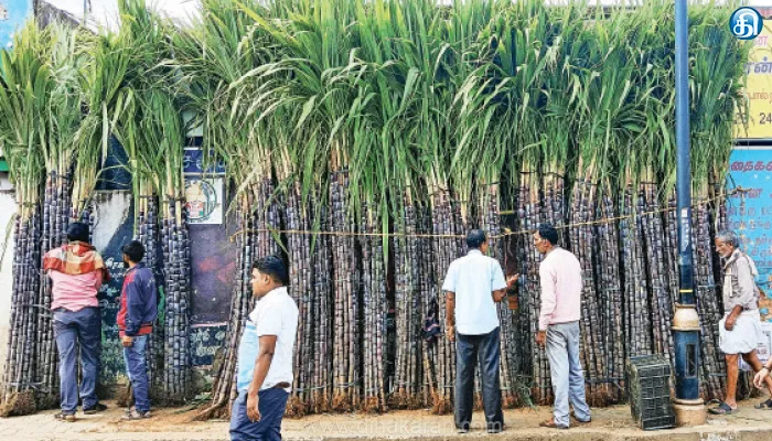 ஆயுத பூஜையை முன்னிட்டு சமவெளி பகுதிகளில் இருந்து ஊட்டிக்கு கரும்பு வரத்து அதிகரிப்பு