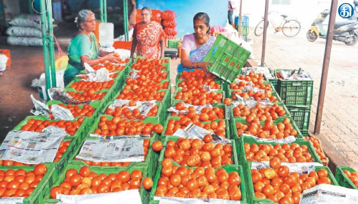 காய்கறி விலை உயர்வு எதிரொலி; பண்ணை பசுமை கடைகளில் குறைந்த விலையில் விற்பனை: தமிழ்நாடு அரசு நடவடிக்கைக்கு பொதுமக்கள் வரவேற்பு