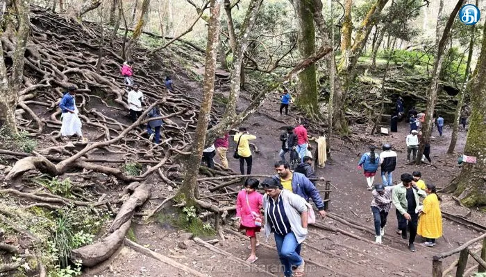 கொடைக்கானலில் கட்டுப்பாட்டில் உள்ள இடங்களை பார்வையிட சுற்றுலா பயணிகளுக்கு இன்று அனுமதி இலவசம்..!!