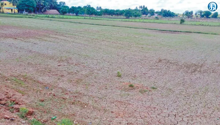 கொள்ளிடம் அருகே தண்ணீர் இன்றி வறண்டு கிடக்கும் 200 ஏக்கர்