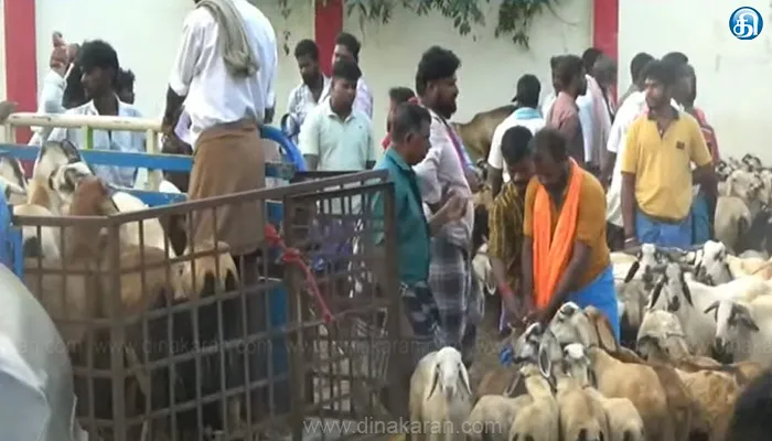 தீபாவளி பண்டிகையையொட்டி களைகட்டிய ஆட்டுச்சந்தை: மேலப்பாளையத்தில் ரூ.2 கோடிக்கு வர்த்தகம்