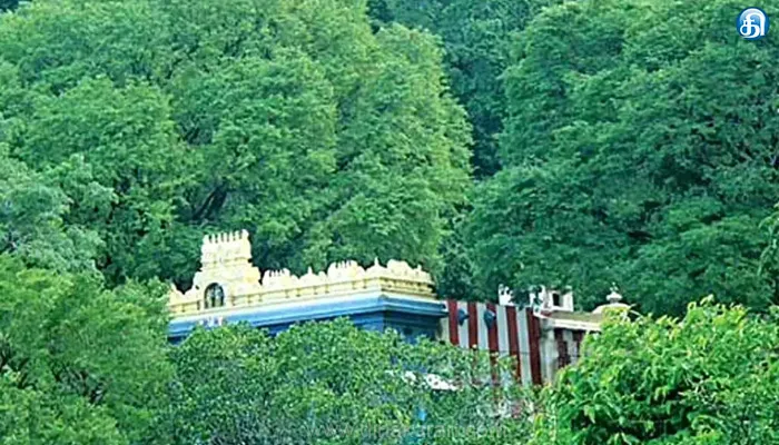 திருக்குறுங்குடியில் யானை நடமாட்டத்தால் நம்பி கோயிலுக்கு பக்தர்கள் செல்ல தடை விதிப்பு