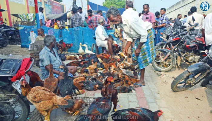 தீபாவளி பண்டிகை முன்னிட்டு நாட்டுக்கோழி, சண்டை கோழிகள் அதிகளவில் விற்பனை: பொய்கை கால்நடை சந்தையில் குவிந்த பொதுமக்கள்