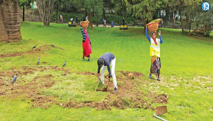 ooty, Grass fields, Botanical Garden