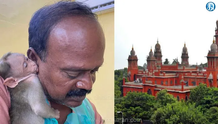 தெரு நாய்களால் கடிபட்ட குரங்கு குட்டியை கால்நடை மருத்துவரிடம் மீண்டும் ஒப்படைக்க முடியாது : சென்னை உயர்நீதிமன்றம்