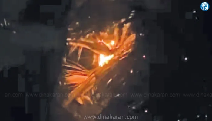 தீபாவளி நாளில் பட்டாசு வெடித்து தீ விபத்து; தென்னை மரம், குடிசை வீடு எரிந்து சேதம்