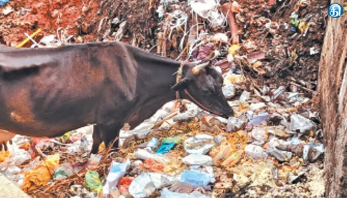 கூடங்குளம் ஊராட்சி விழிப்புணர்வு ஏற்படுத்தியும் பலன் இல்லை பொது இடங்களில் குப்பை கொட்டுவதால் சுகாதார சீர்கேடு