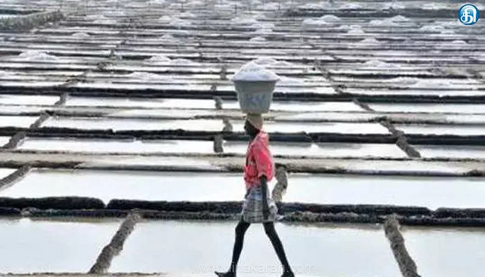 மழை காரணமாக வேதாரண்யத்தில் 1 லட்சம் டன் உப்பு உற்பத்தி பாதிப்பு