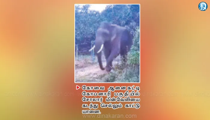 ஏ.ஐ தொழில்நுட்பத்திடம் எகத்தாளம் காட்டிய காட்டு யானை