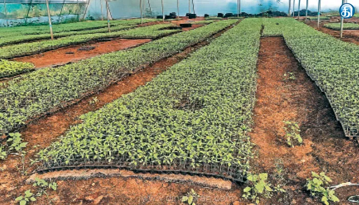 உத்தமபாளையம் தாலுகாவில் தோட்டக்கலை பண்ணை கிளை அமையுமா?