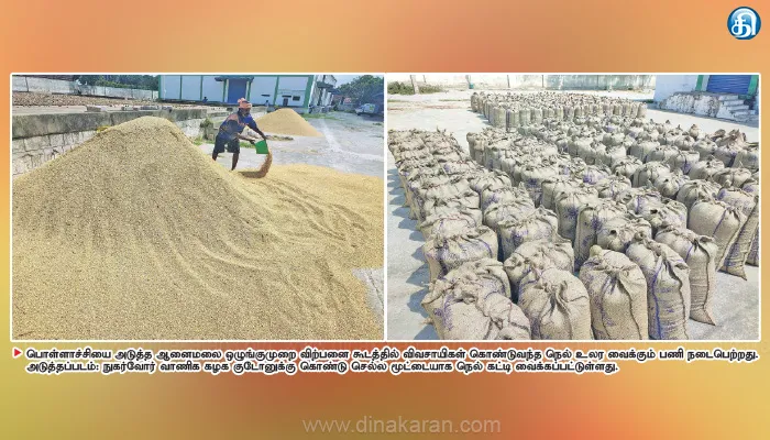 நெல் அறுவடை பணி தீவிரம் ஆனைமலை விற்பனை கூடத்தில் நெல் கொள்முதல்
