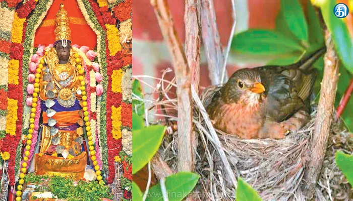 எந்த ஜாதக அமைப்பு உடையவருக்கு புதையல் கிடைக்கும்?