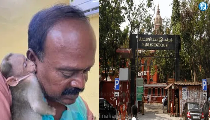 வண்டலூர் பூங்காவில் இறந்த குரங்கு குட்டியின் உடற்கூராய்வு அறிக்கையை தாக்கல் செய்ய உத்தரவு