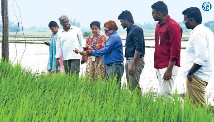 திருவள்ளூர் மாவட்டத்தில் டிஜிட்டல் பயிர் சர்வே பணிகள் தீவிரம்: வேளாண் இணை இயக்குநர் கள ஆய்வு