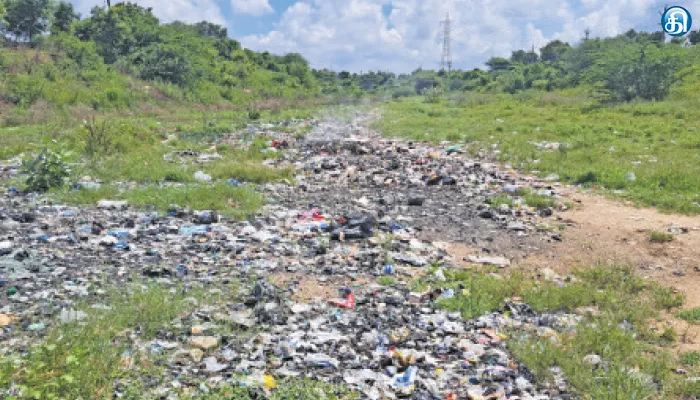 காவேரிப்பாக்கம் அடுத்த ஓச்சேரியில் மேக்லியன் கால்வாயில் கொட்டப்படும் குப்பைகளால் சுகாதார சீர்கேடு