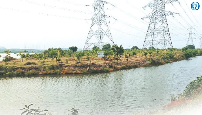 அலையாத்தி காடுகளை பாதுகாக்க அரசின் தீவிர நடவடிக்கை: எண்ணூர் கொசஸ்தலை ஆற்றில் சாம்பல் கழிவுகளை அகற்றும் நீர்வளத்துறை