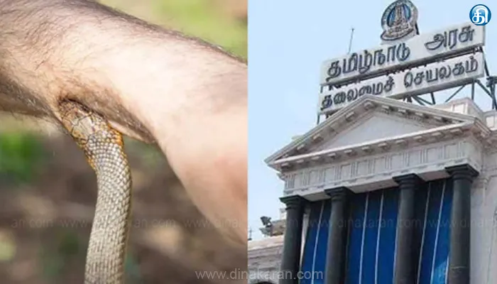 அனைத்து மருத்துவமனைகளும் அரசுக்கு தெரிவிக்கும் வகையில் பாம்பு கடி ‘அறிவிக்கை செய்யக் கூடிய நோயாக’ அறிவிப்பு: அரசாணை வெளியிட்டது தமிழக அரசு