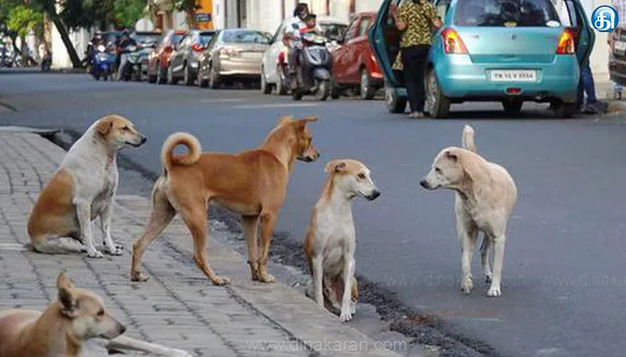 புதிதாக அமைக்கப்பட்ட கருத்தடை மையங்களில் 40 கூண்டுகள் அமைப்பு; ஆண்டுதோறும் 27,000 தெரு நாய்களுக்கு கருத்தடை செய்ய மாநகராட்சி திட்டம்: அதிகாரிகள் தகவல்