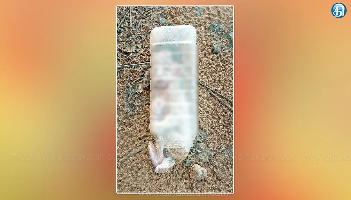 தஞ்சாவூர் அருகே பிறந்து சில நாட்களான பச்சிளங்குழந்தை பிளாஸ்டிக் டப்பாவில் அடைத்து தென்னந்தோப்பில் வீச்சு