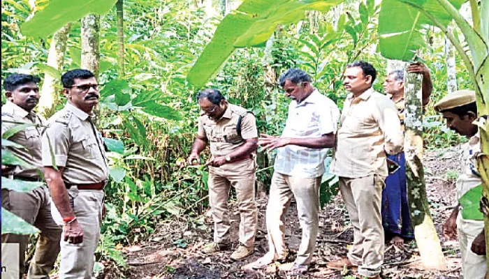 குமுளி பகுதியில் புலி இருக்கு… உஷார் : பொதுமக்களுக்கு வனத்துறை எச்சரிக்கை