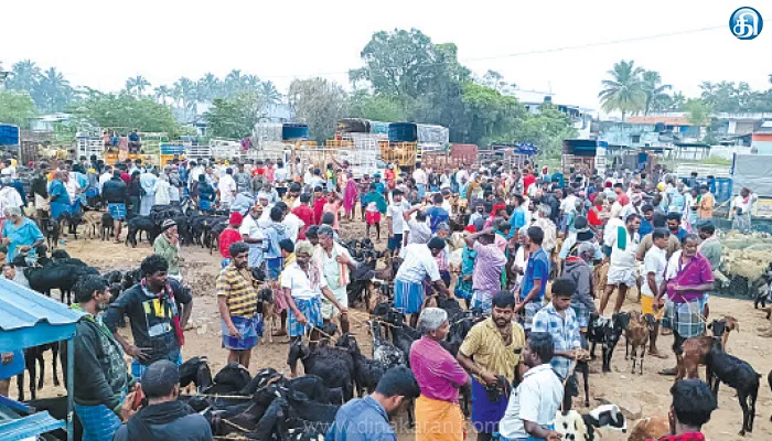மார்கழியிலும் விற்பனை மந்தமில்லை அய்யலூர் வாரச்சந்தை கூடியது ஆடு, கோழி அமோக விற்பனை