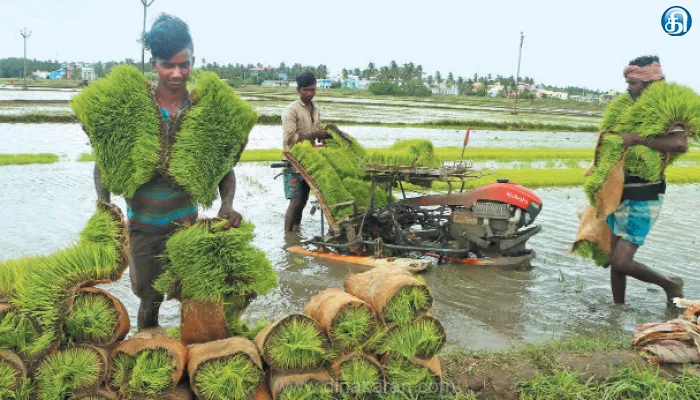 நெற்பயிர் பாதுகாப்பு குறித்து வேளாண் துறை விளக்கம்