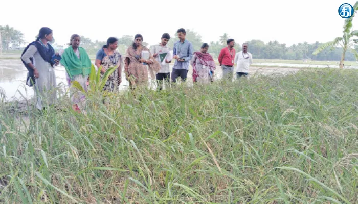 நம்மாழ்வார் விருது வழங்க நிலத்தில் மண் பரிசோதனை