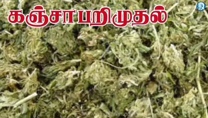 ஒடிசா, ஆந்திராவில் இருந்து கடத்திய 13 கிலோ கஞ்சா பறிமுதல்: 3 பேர் கைது