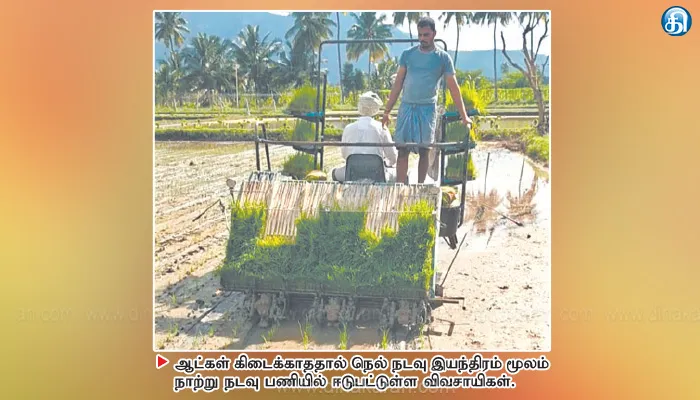 அணைக்கட்டில் கூலி ஆட்கள் கிடைக்காததால் இயந்திரத்தில் நெல் நாற்று நடும் பணி