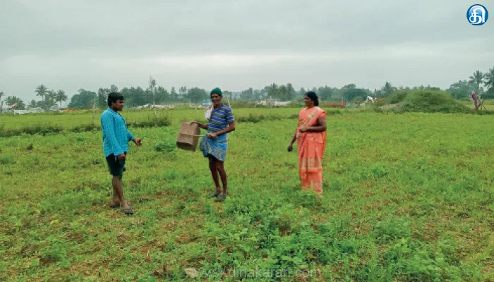 சித்தேரி மலைப்பகுதியில் விவசாய பயிர்களை நாசம் செய்யும் காட்டெருமைகள்: விவசாயிகள் கவலை