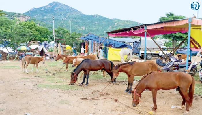 தீபத் திருவிழாவில் குதிரைச் சந்தை