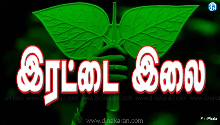 இரட்டை இலை வழக்கு விரைந்து முடிக்க உத்தரவு: தேர்தல் ஆணையத்திற்கு டெல்லி ஐகோர்ட் அதிரடி