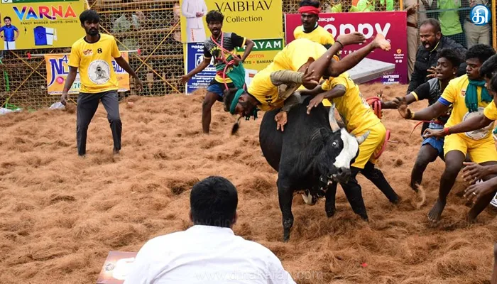 மதுரை பாலமேடு ஜல்லிக்கட்டு: மூன்றாம் சுற்று முடிவில் 3 வீரர்கள் இறுதிச் சுற்றுக்கு தேர்வு