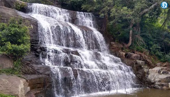 வெள்ளப்பெருக்கு காரணமாக மேகமலை அருவியில் குளிக்க சுற்றுலா பயணிகளுக்கு தடை