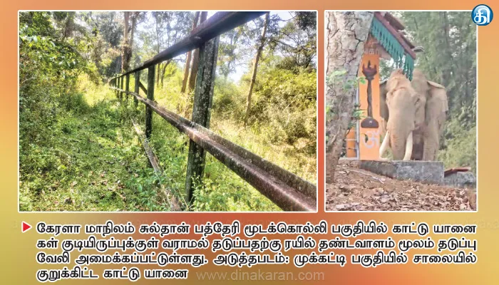 பந்தலூர், கூடலூர் பகுதியில் காட்டு யானைகள் ஊருக்குள் வராமல் தடுக்க இரும்பு வேலி அமைக்க வேண்டும்