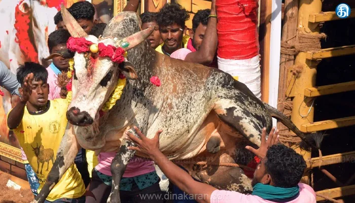 ஜல்லிக்கட்டு -12,632 காளைகள், 5,347 வீரர்கள் பதிவு