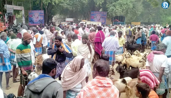 ஒடுகத்தூரில் இன்று நடத்த வாரச்சந்தையில் ஆடுகளின் விலை கிடு கிடு உயர்வு: ரூ16 லட்சத்திற்கு வர்த்தகம்