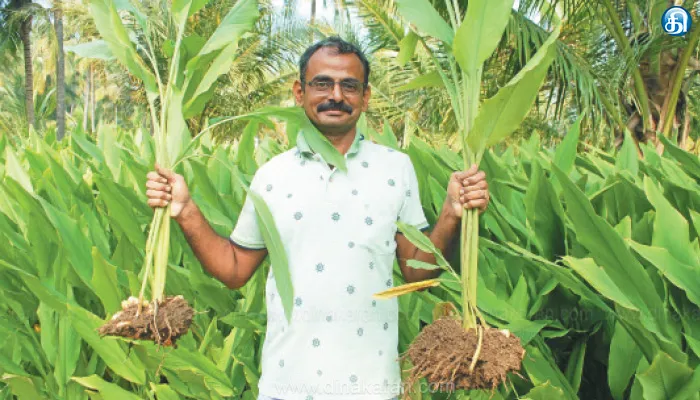 இயற்கை வேளாண்மையால் மகசூல் பெருகும் மஞ்சள் தோட்டம்!