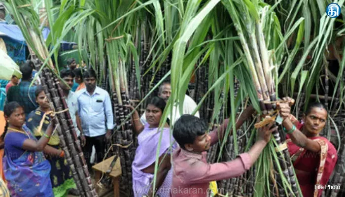 மயிலாடுதுறையில் ஒரு கட்டு கரும்பு விலை ரூ.600க்கு விற்பனை