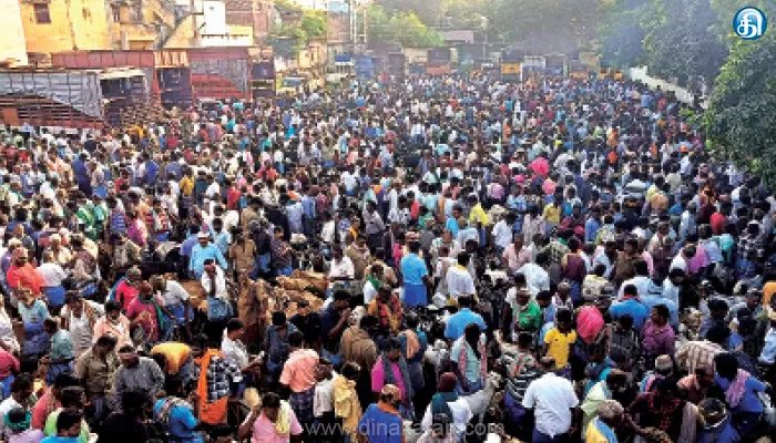 பொங்கல் பண்டிகைக்கு செம சேல்ஸ் திருமங்கலம் வாரச் சந்தையில் ரூ.4 கோடிக்கு ஆடு விற்பனை