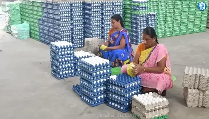 நாமக்கல்லில் முட்டை விலை ரூ.25 காசுகள் சரிந்தது