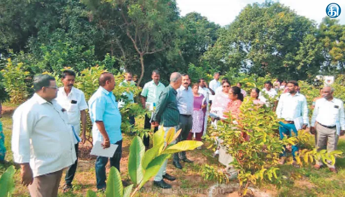 வாலாஜாபாத் ஒன்றியம் தேவரியம்பாக்கத்தில் 100 நாள் பணிகளை பார்த்து வியந்த ஒன்றிய அரசு திட்ட இயக்குனர்