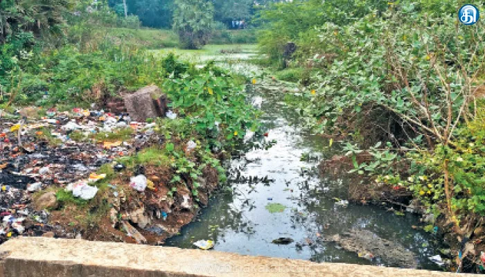 கிளாம்பாக்கத்தில் பெரிய ஏரியில் செத்து மிதக்கும் மீன்கள்: நடவடிக்கை எடுக்க சமூக ஆர்வலர்கள் வலியுறுத்தல்